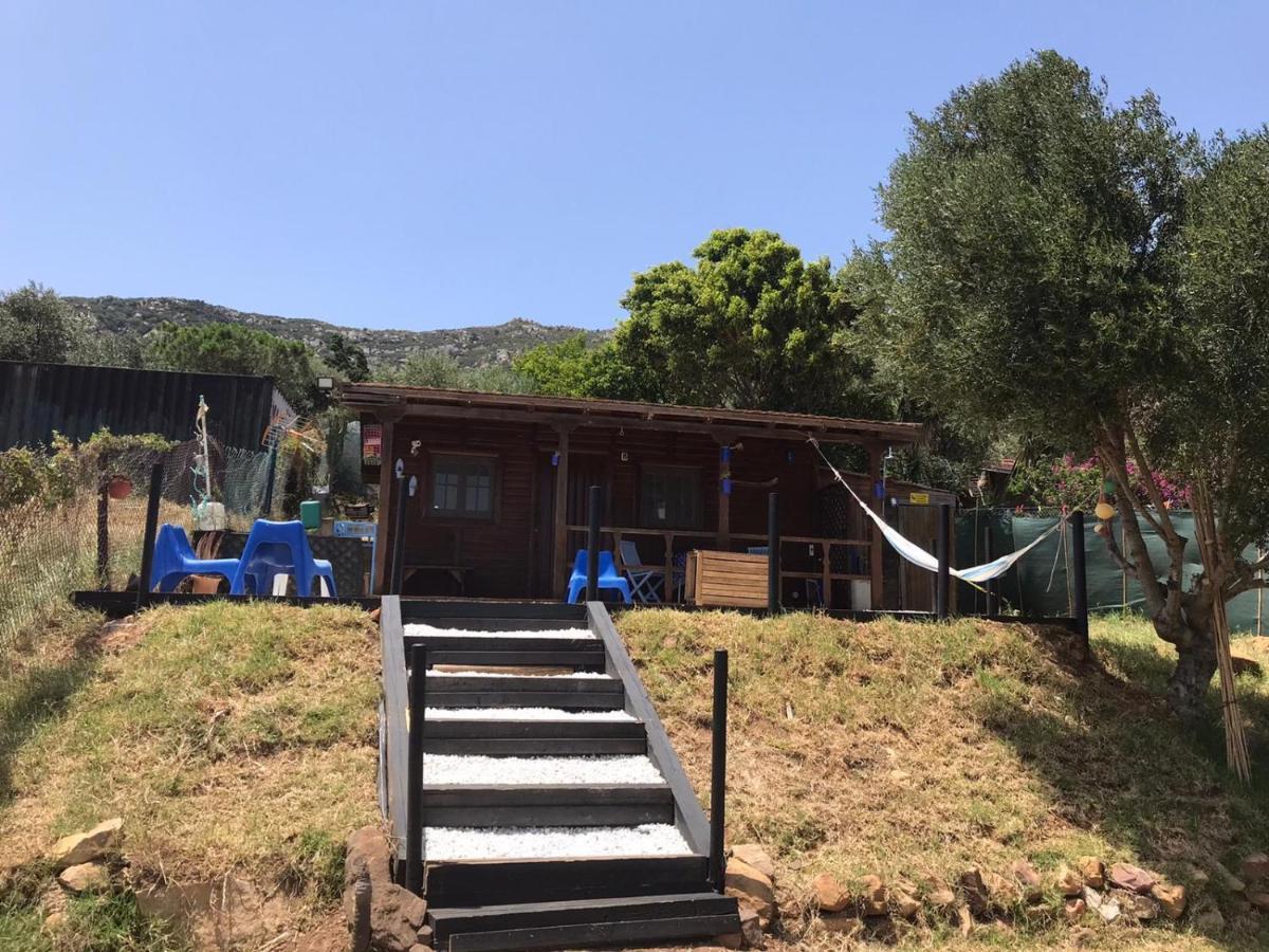 Rustic Cabin Tarifa 4 Guests 10 Minutes To Beach Exterior foto